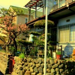 Naki w Japonii - Alvere Osaka, rodziny u których mieszkaliśmy - 9